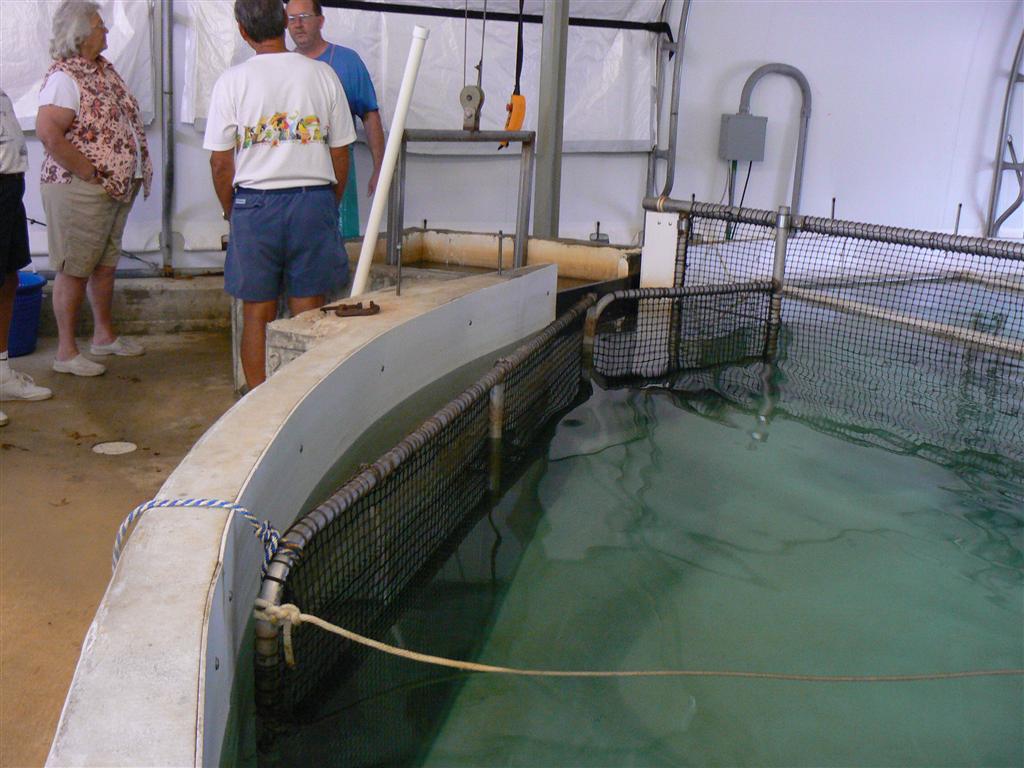 The Tank04-corral to elevator.JPG